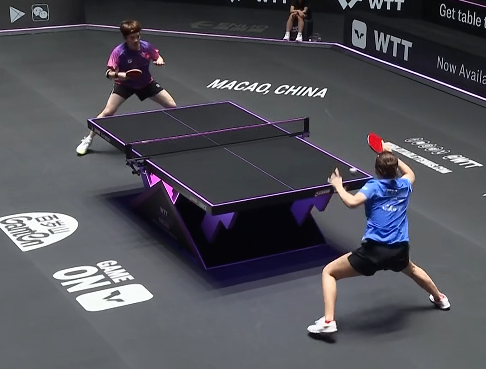 VS, wlm, 横扫对手晋 VS, wlm, 横扫对手晋