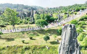 与大自然亲 与大自然亲